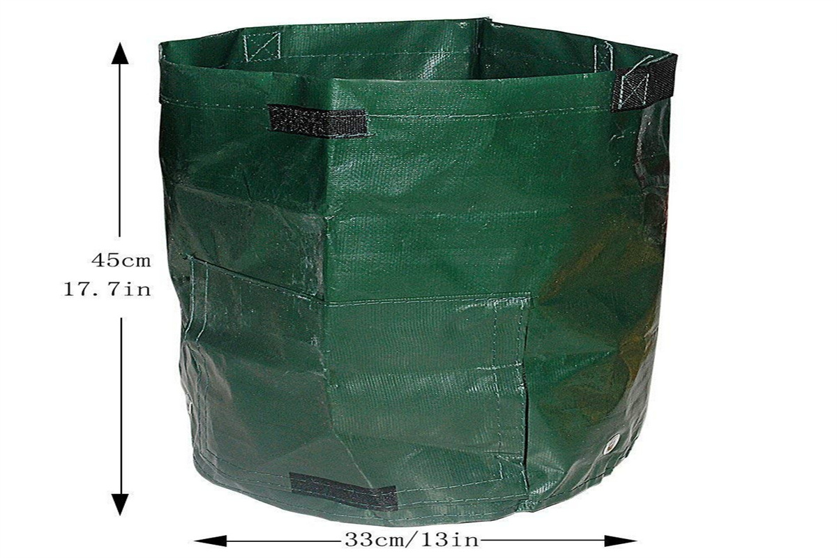 Image 9