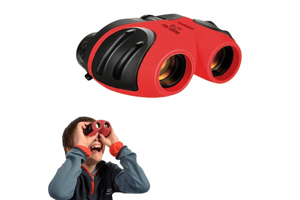 Image 4