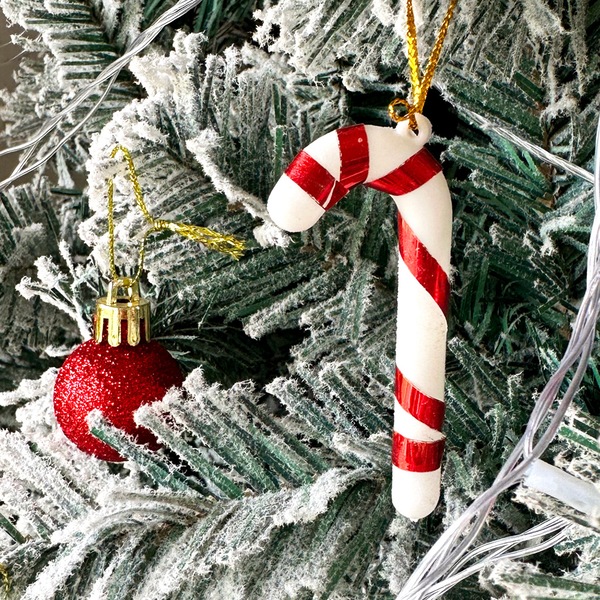 Image 4