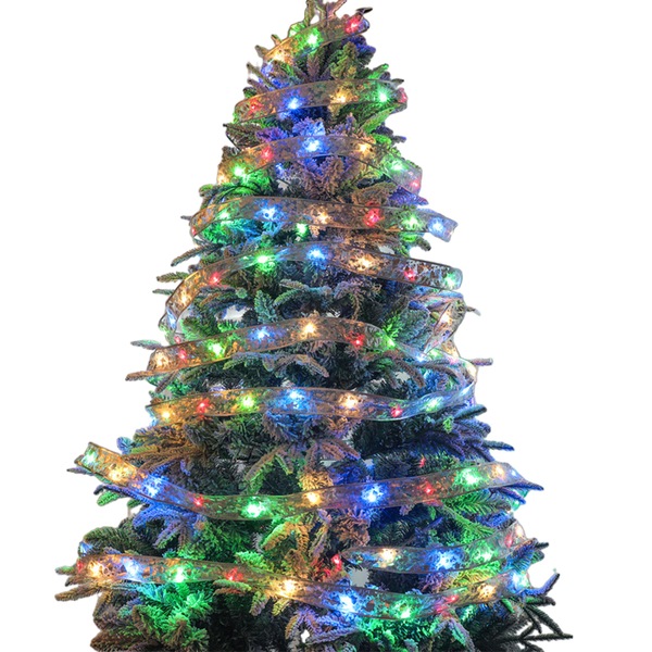 Image 4