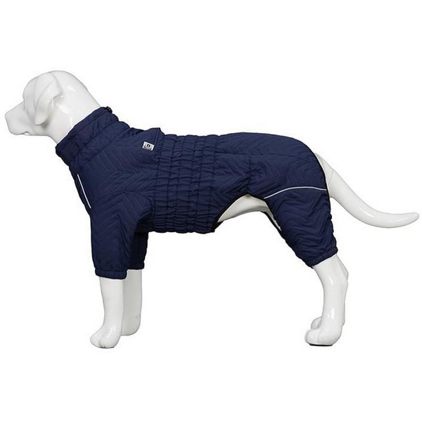Image 7