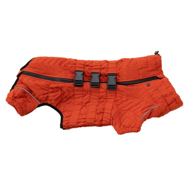 Image 7