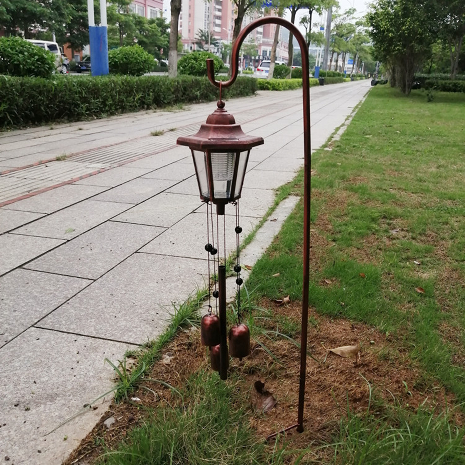 Image 5