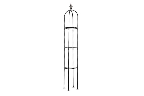 Image 4