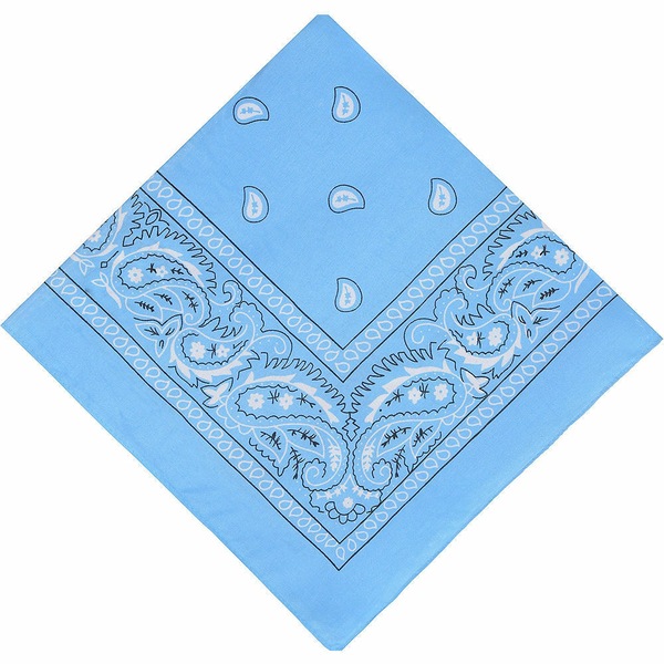 Image 26