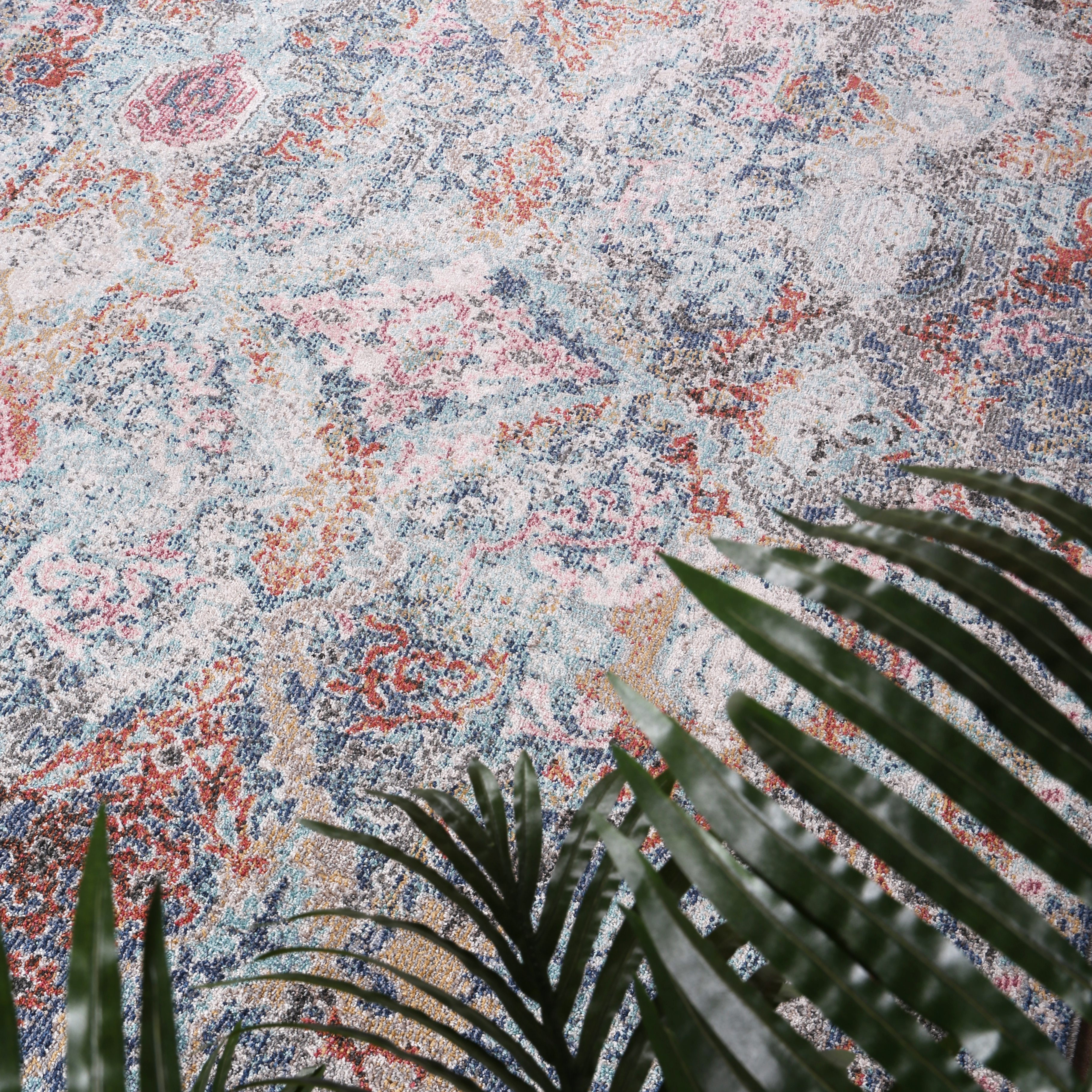 Image 7