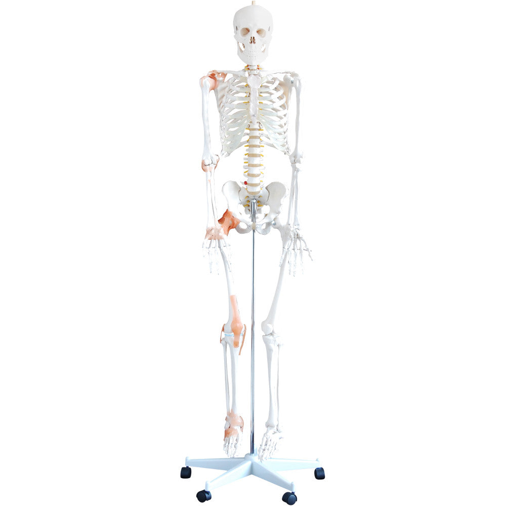 Image 3