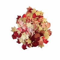 Glitter Leaves - Pumpkin & Spice Collection - 40 grams (655350647872)