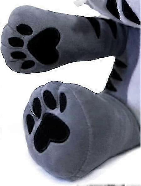 Image 5