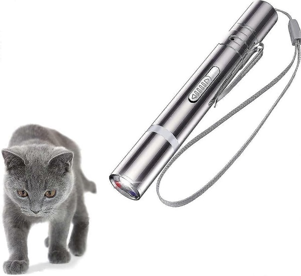Buy Led Pointer Cats Dog Toy Pet Led Light Light Pointer With Usb ...