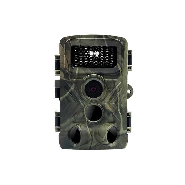 Image 2