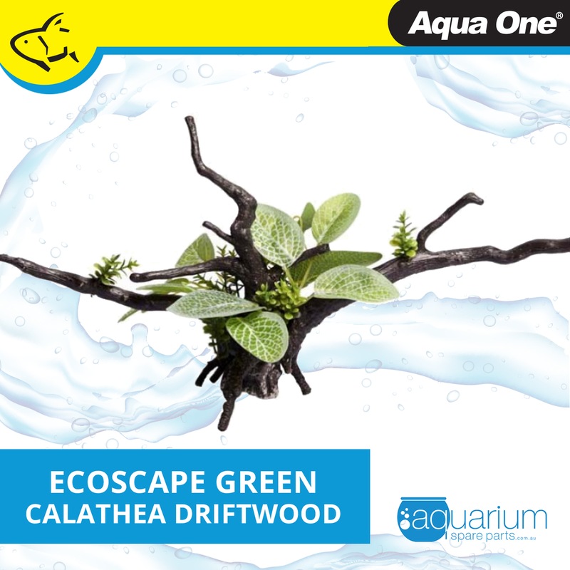 Buy Aqua One Ecoscape Green Calathea Driftwood - MyDeal