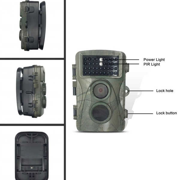 Image 2