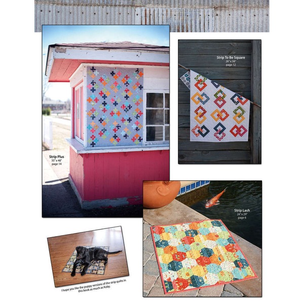 Image 4