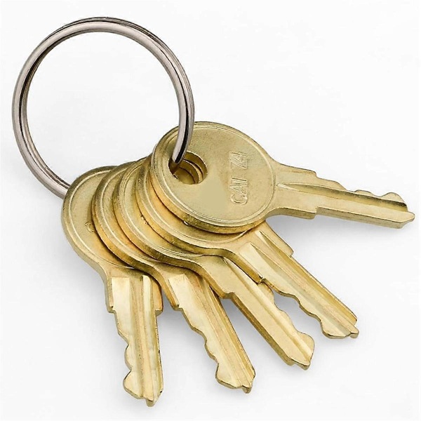 Buy 10 Pack CAT74 Dispenser Keys - Compatible with GAMCO B-263 SOOV ...