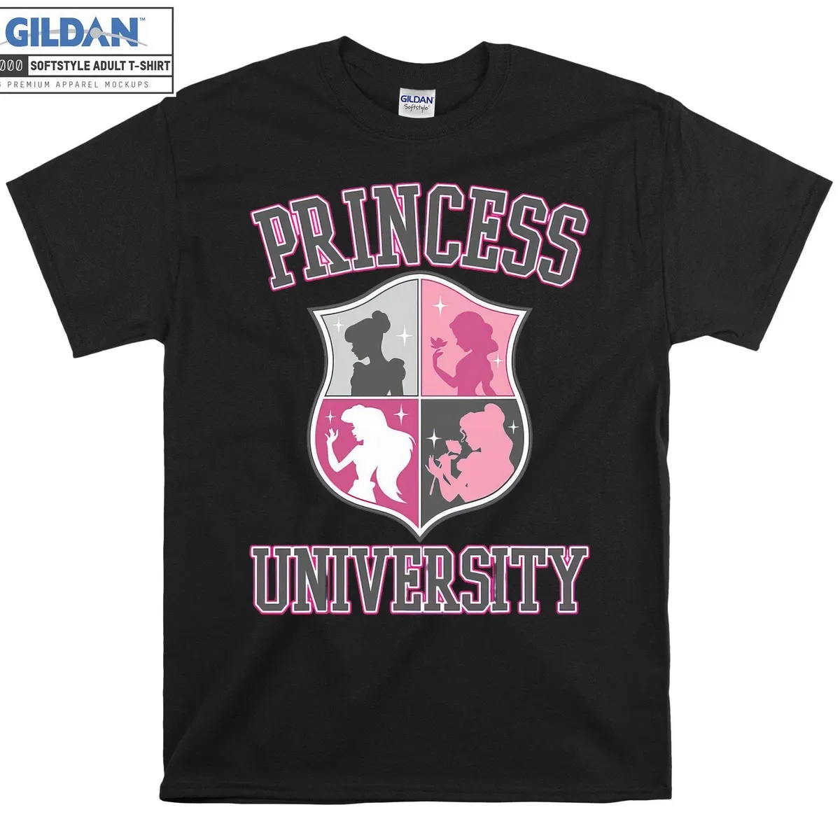 Princess University Space Collaborative Competition