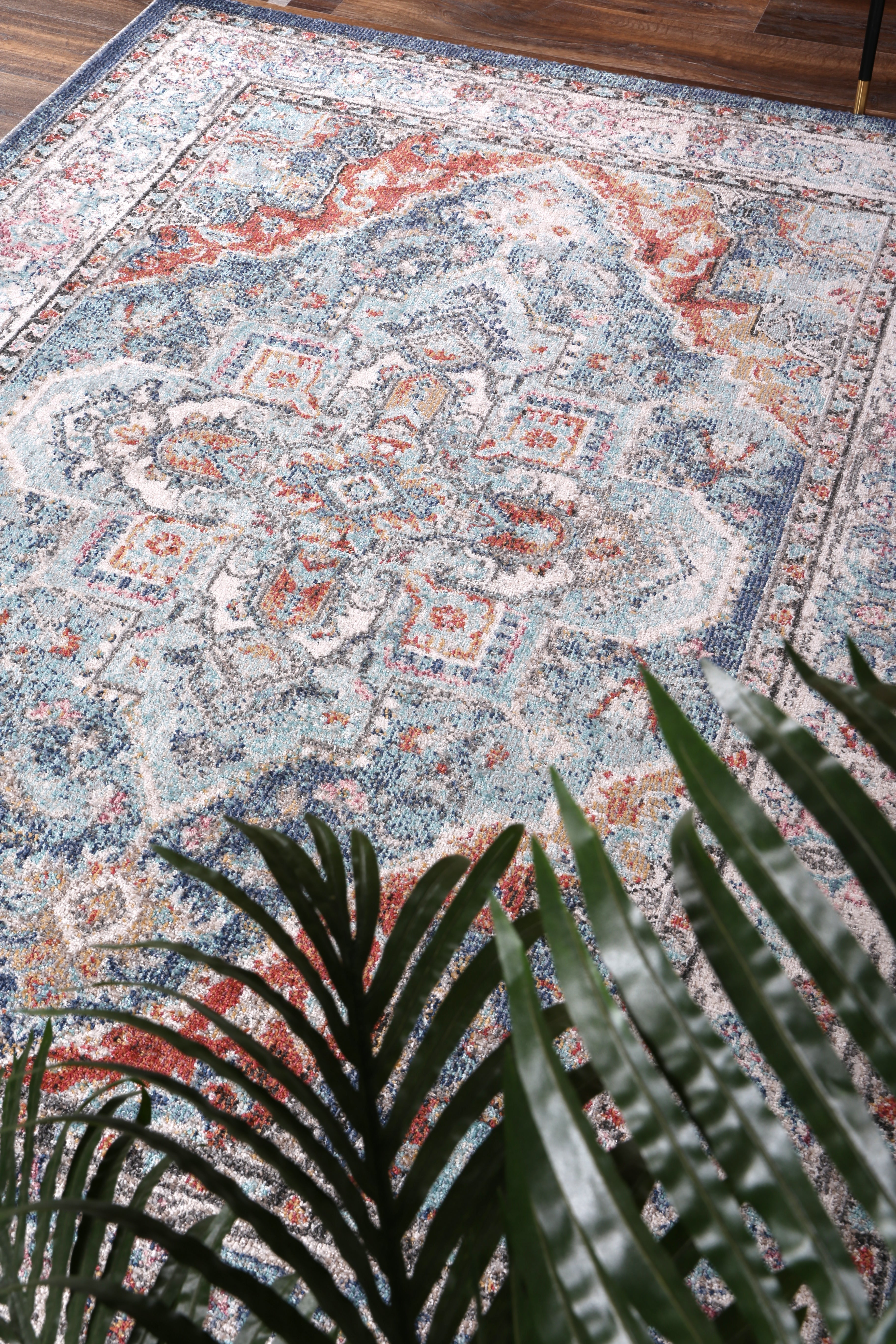 Image 7