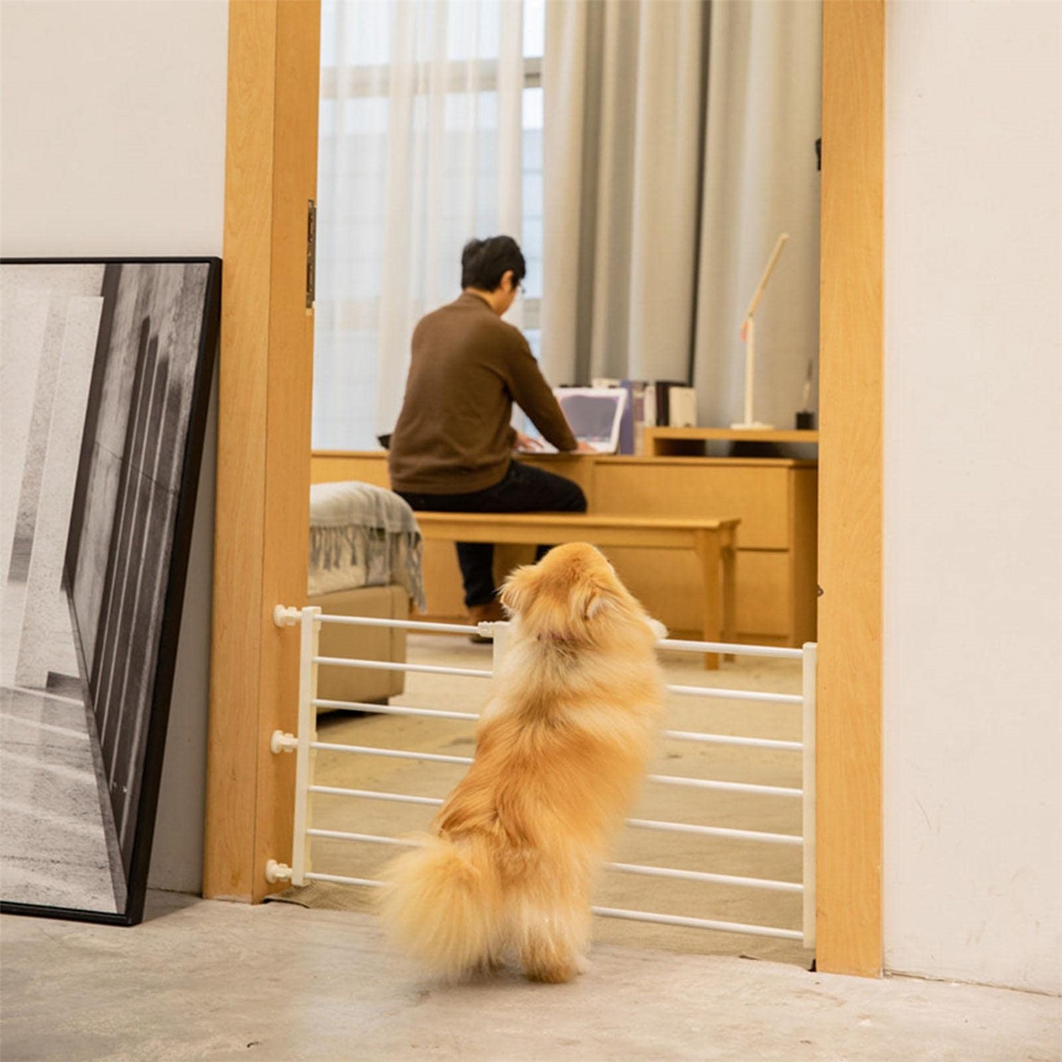 Prevent Pet Escape Door Curtains No Nail Partition Cat And