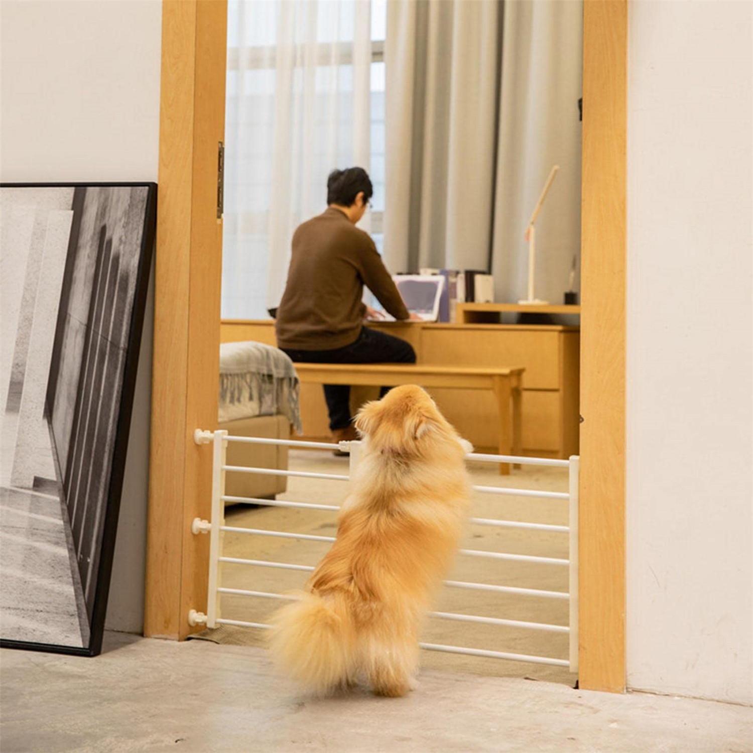 Invisible Railing For Pets Buy Pet Door Stall Dog Partition Pet Isolation Railing Suitable For ...