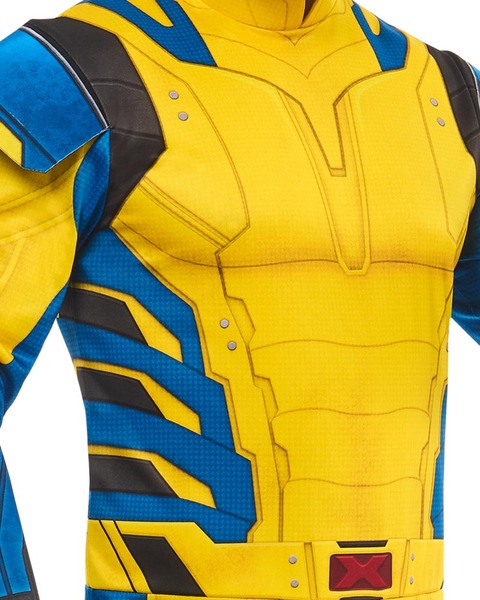 Image 3