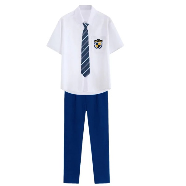Image 5