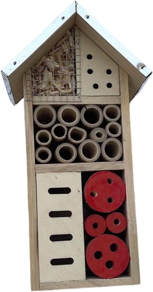 Image 7
