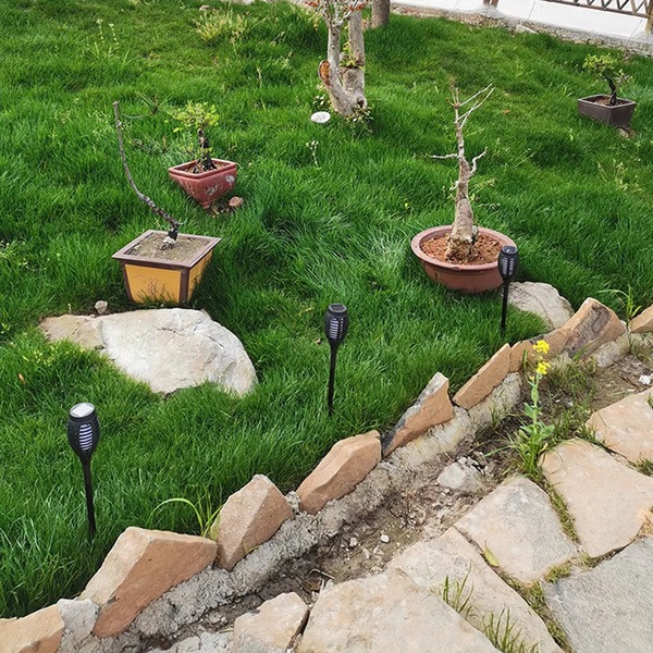 Image 11
