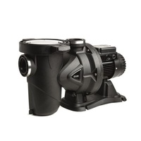 Dab Pool Pump With 2 Year Warranty