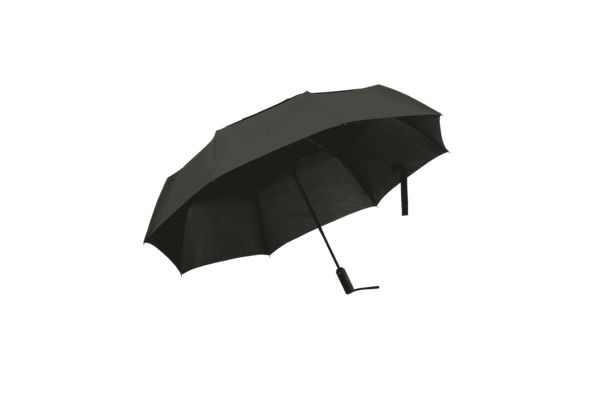 Image 16