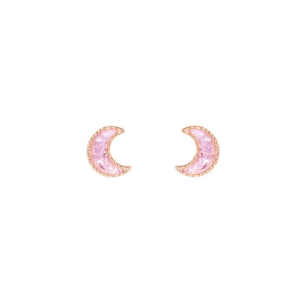 Image 24