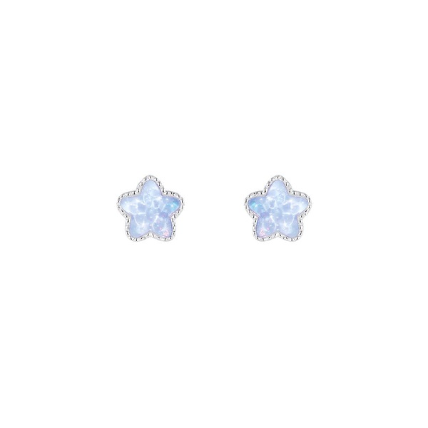 Image 26