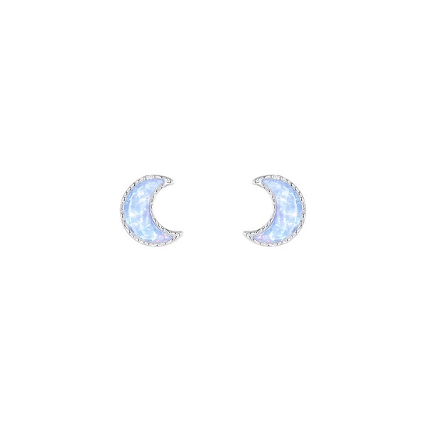 Image 27