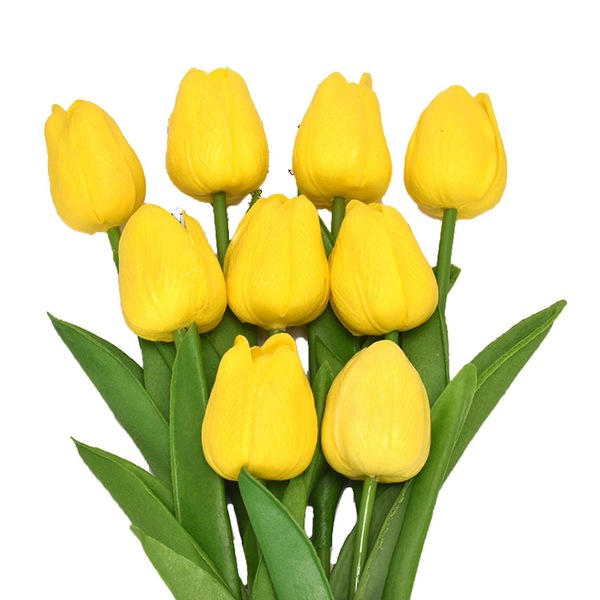 Image 15