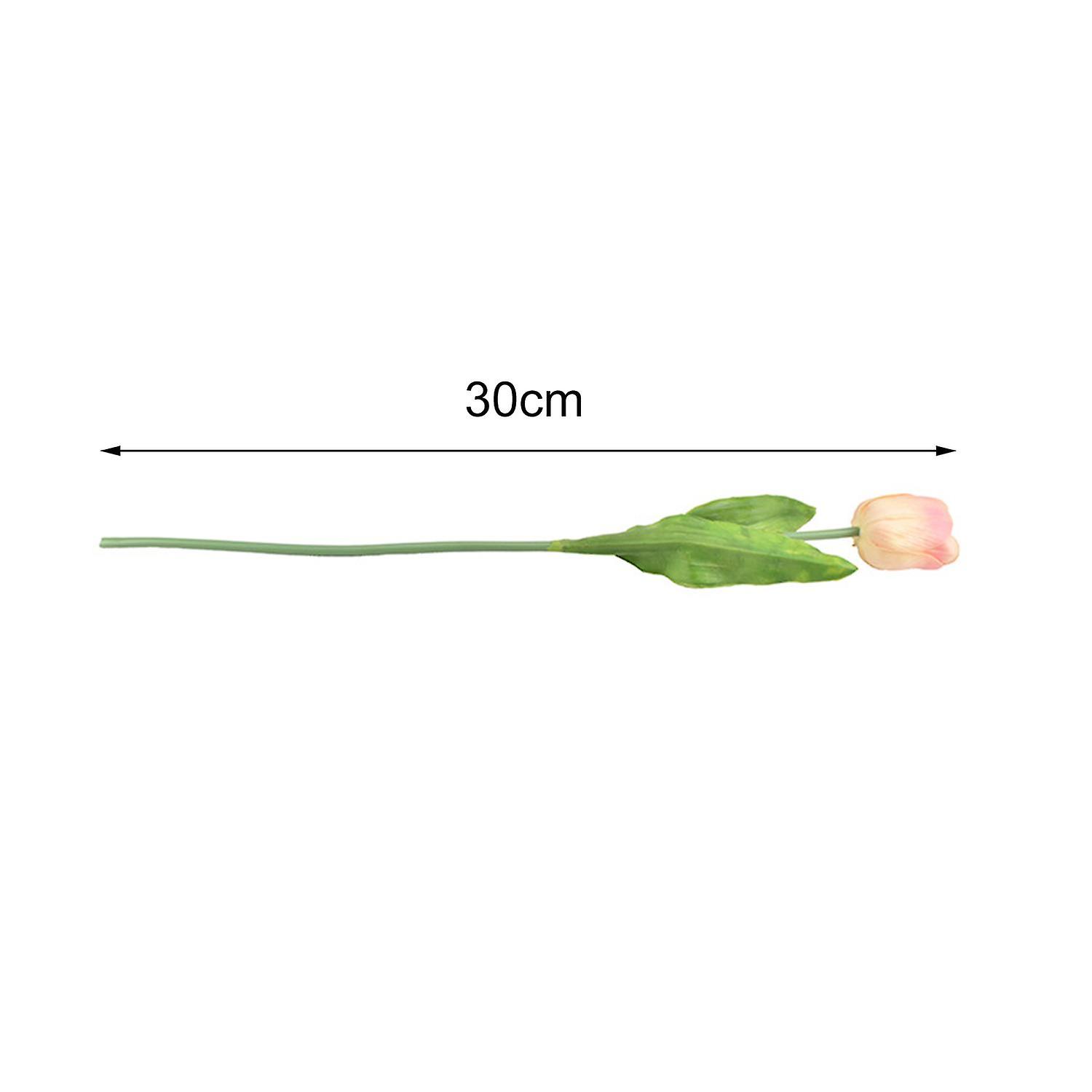 Image 19