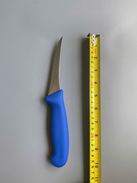 Image 4