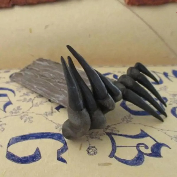 Image 4