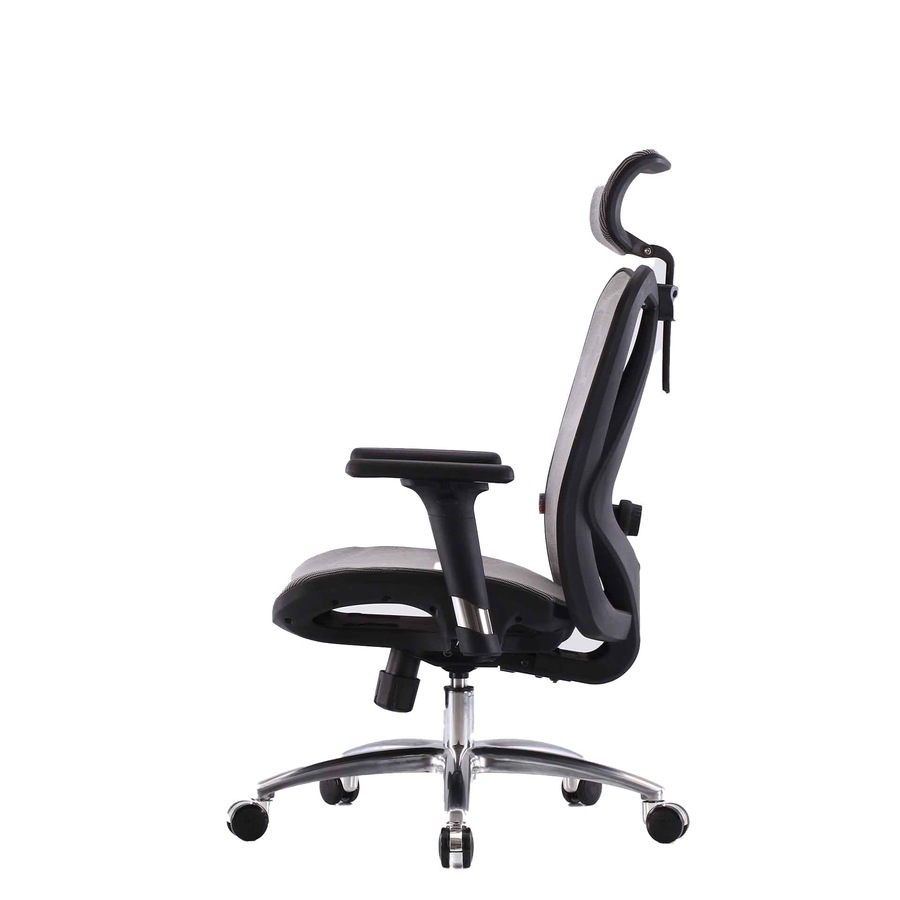 Sihoo M57 Ergonomic Office Chair