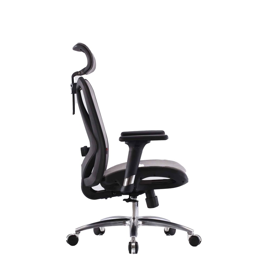 Sihoo M57 Ergonomic Office Chair