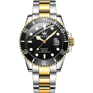 Waterproof Mechanical Watch for Men with Luminous Dial
