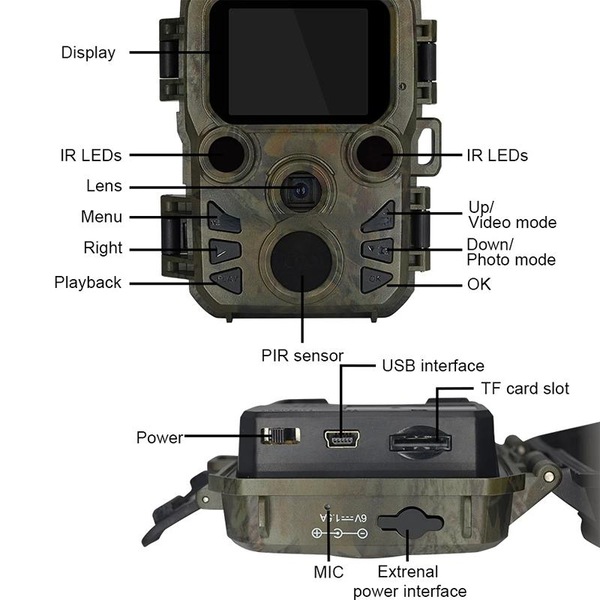 Image 6
