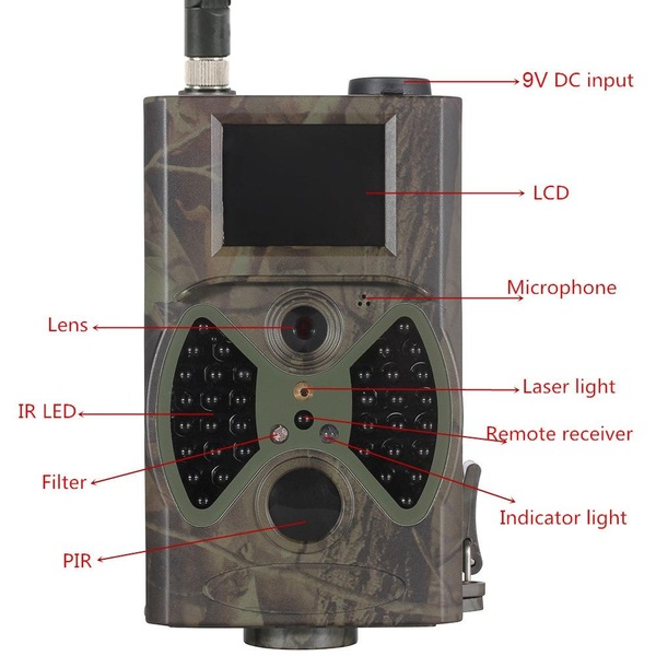 Image 4