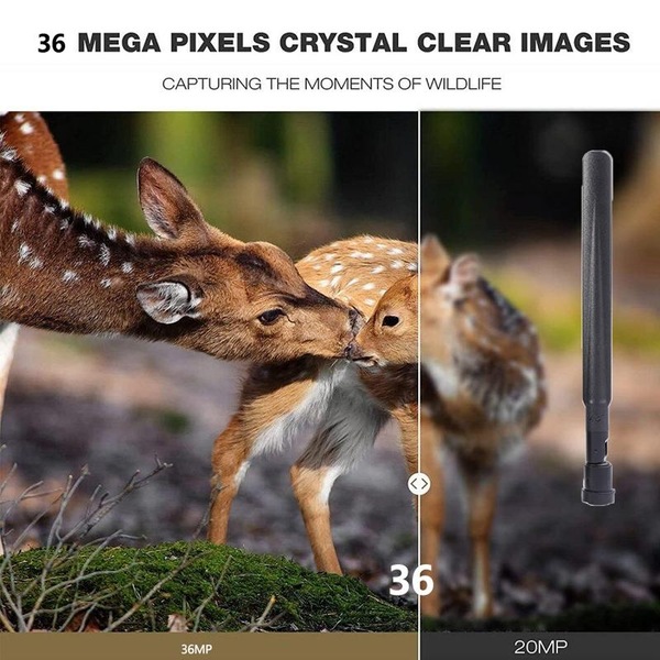 Image 9