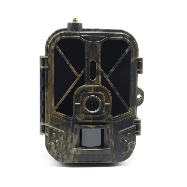 Image 2