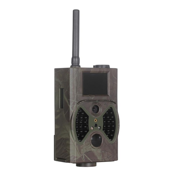 Image 2