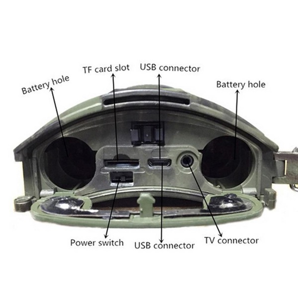 Image 4