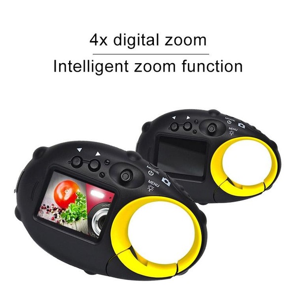 Image 4