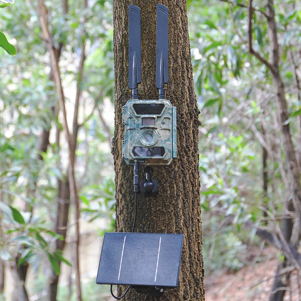 Image 6
