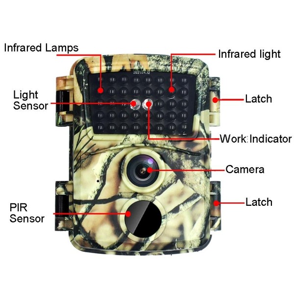 Image 7