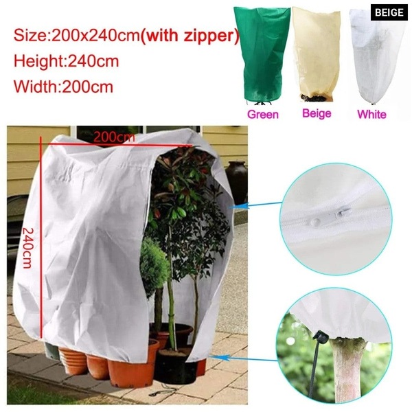 Image 20