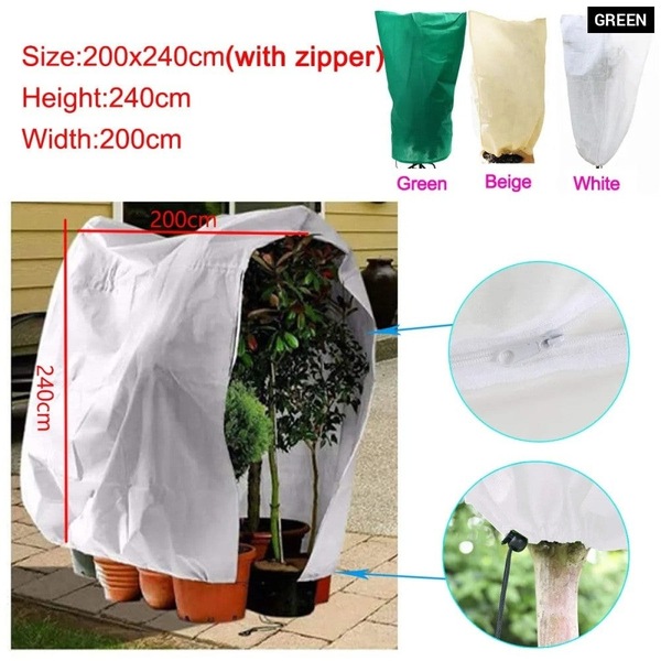 Image 21